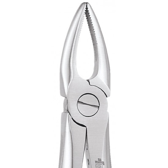 Standard Extraction Forcep Upper Roots FX29S GDC Extraction Forceps Rs.1,004.46