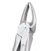 Standard Extraction Forcep Upper Roots FX30S