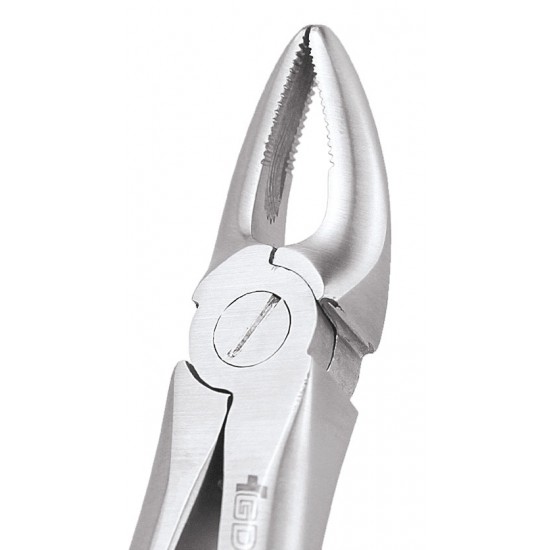 Standard Extraction Forcep Upper Roots FX30S GDC Extraction Forceps Rs.1,004.46