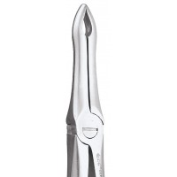Standard Extraction Forcep Upper Roots FX41S