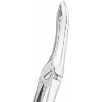 Standard Extraction Forcep Upper Roots FX44S