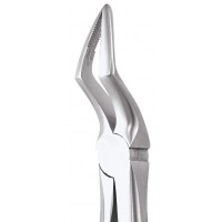 Standard Extraction Forcep Upper Roots FX51AS