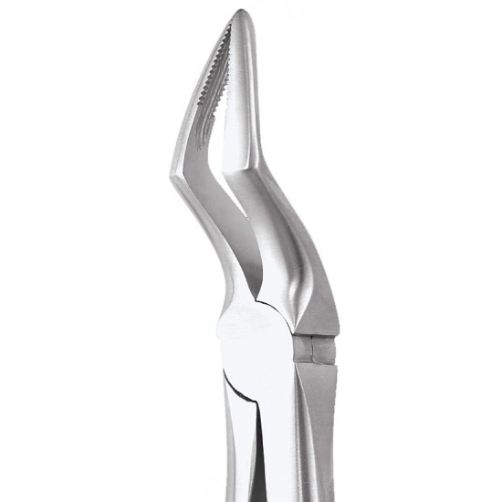 Standard Extraction Forcep Upper Roots FX51AS GDC Extraction Forceps Rs.1,004.46