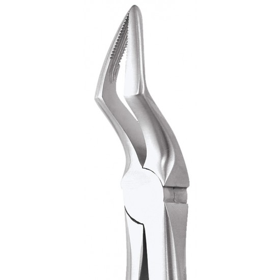 Ergonomic Extraction Forcep Upper Roots FX51AE GDC Extraction Forceps Rs.1,607.14