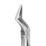 Standard Extraction Forcep Upper Roots FX51S