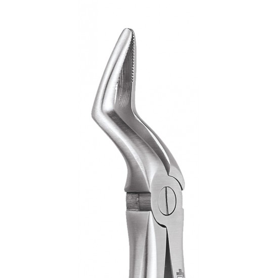 Standard Extraction Forcep Upper Roots FX51S GDC Extraction Forceps Rs.1,004.46