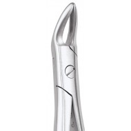 Standard Extraction Forcep Upper Roots FX76NS