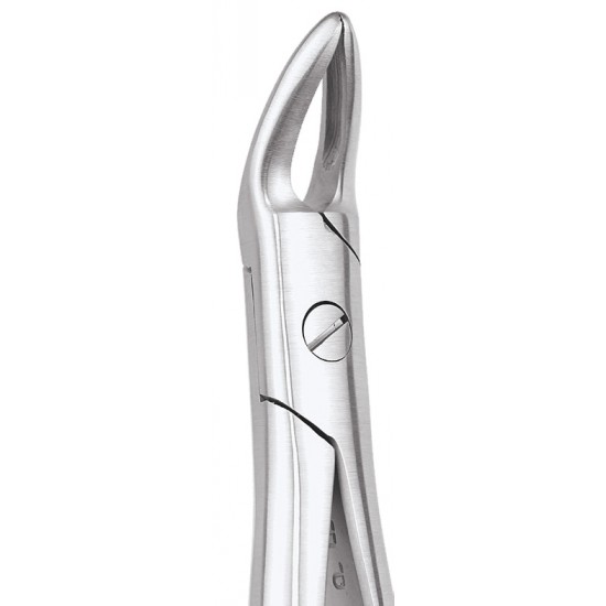 Standard Extraction Forcep Upper Roots FX76NS GDC Extraction Forceps Rs.1,004.46
