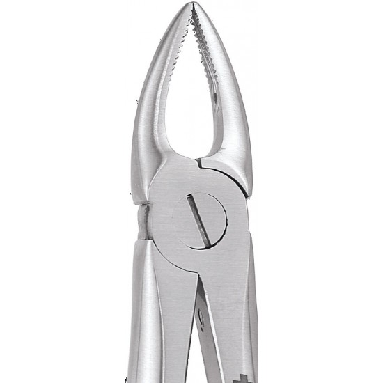 Standard Extraction Forcep Upper Roots Narrow FX29NS GDC Extraction Forceps Rs.1,004.46