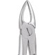 Standard Extraction Forcep Upper Roots Narrow FX29NS GDC Extraction Forceps Rs.1,004.46