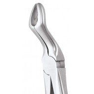 Ergonomic Extraction Forcep Upper Third Molars FX67AE