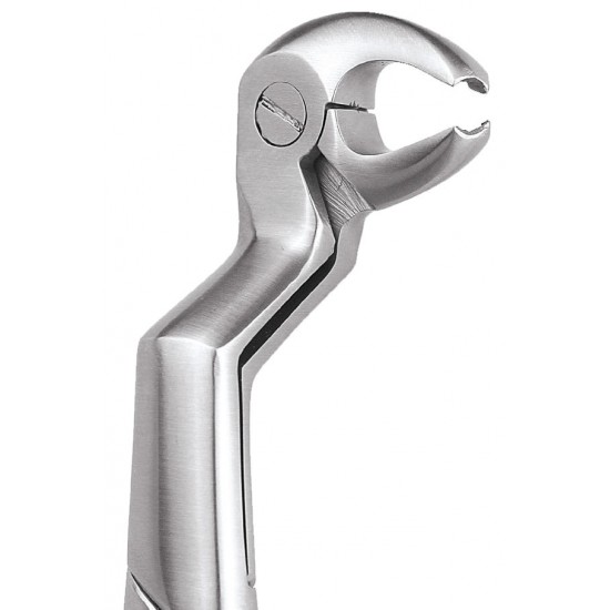 Prm Extraction Forcep Lower Molars and Wisdoms Right FX22 1-2RP Prm Extraction Forcep Lower Molars and Wisdoms Right FX22 1-2RP GDC Extraction Forceps Rs.4,232.14