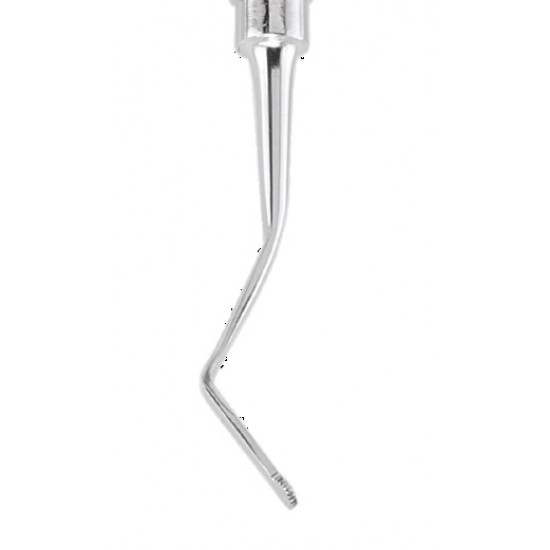 Gingival Cord Packer GCPAS113 GDC Gingival Cord Packer Rs.294.64