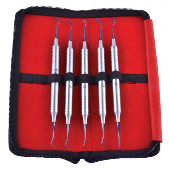 Composite Instruments Anterior Blue In Pouch CIAP5 GDC Instrument Kits Rs.7,566.96