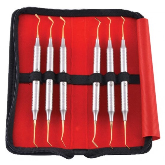 Composite Instruments Gold Flexi Thin In Pouch CIGFTP6 GDC Instrument Kits Rs.7,232.14