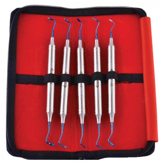Composite Instruments Posterior Blue In Pouch CIPP5 GDC Instrument Kits Rs.7,566.96