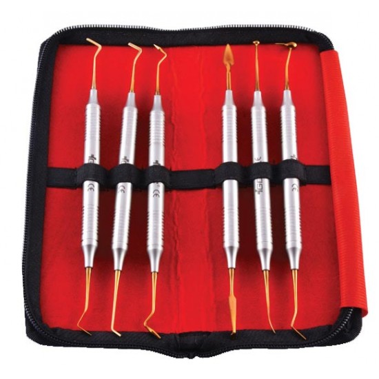 Composite Instruments Blue Titanium In Pouch CIBP6 GDC Instrument Kits Rs.9,080.35