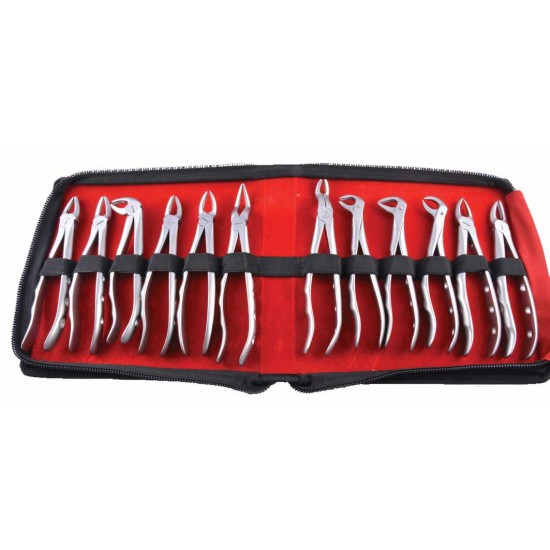Extraction Forceps Ergonomic In Pouch EFEP12 GDC Instrument Kits Rs.19,285.71