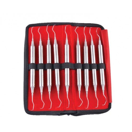 Gracy Curette Premium Set In Pouch GCPP9 GDC Instrument Kits Rs.14,464.28