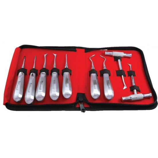 Root Elevator Standard In Pouch RESP9 GDC Instrument Kits Rs.6,428.57