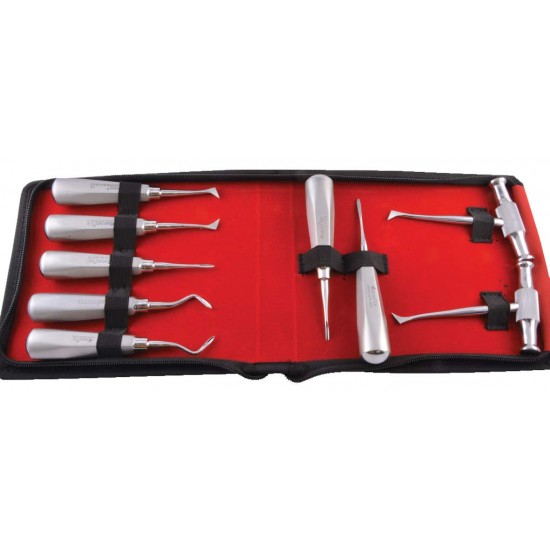 Root Elevators Premium Set With Pouch REPP9 GDC Instrument Kits Rs.10,928.57