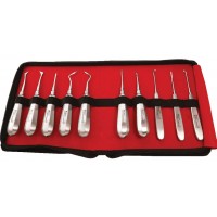 Root Elevators Standard with Warwick James Set in Pouch RESP10