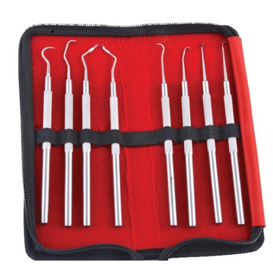 Super Gingival Scaler in Pouch SGSP8 GDC Instrument Kits Rs.1,950.00