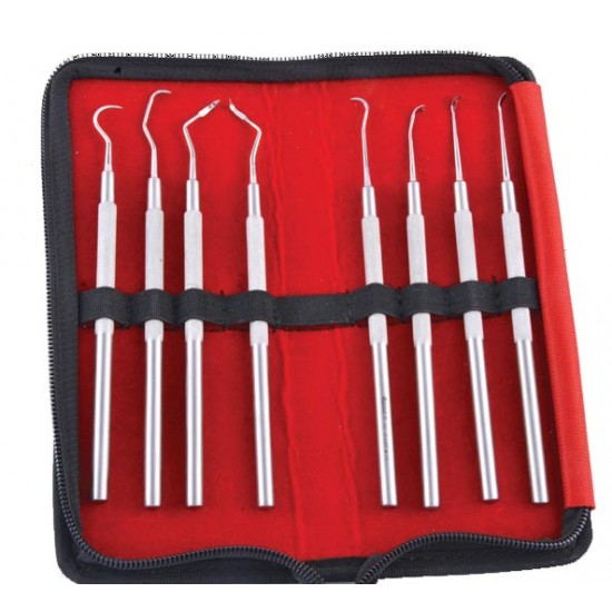 Super Gingival Scaler in Pouch SGSP8 GDC Instrument Kits Rs.1,950.00