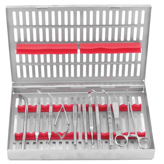 Perio Surgical Instruments Set of 12 PSIWC12 GDC Periotomes Rs.20,866.07