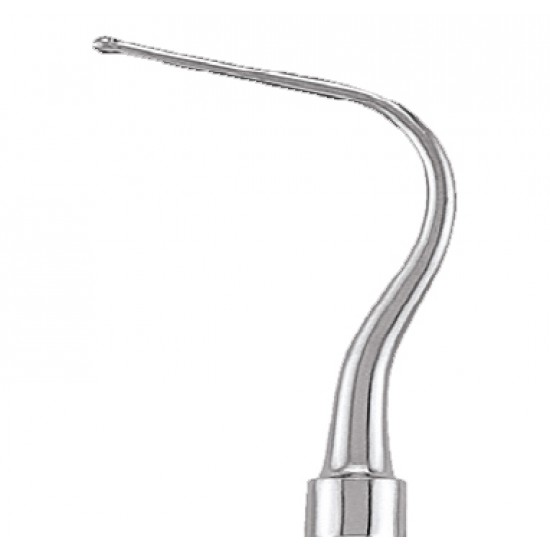 Dycal Applicator Double Ended PICH6 Handle No 1 OR 3 GDC Placement Instruments Rs.267.85