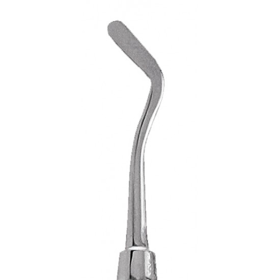 Plastic Filling Instruments PFGFT2 Handle No 1 OR 3 GDC Plastic Filling Instruments Rs.243.75