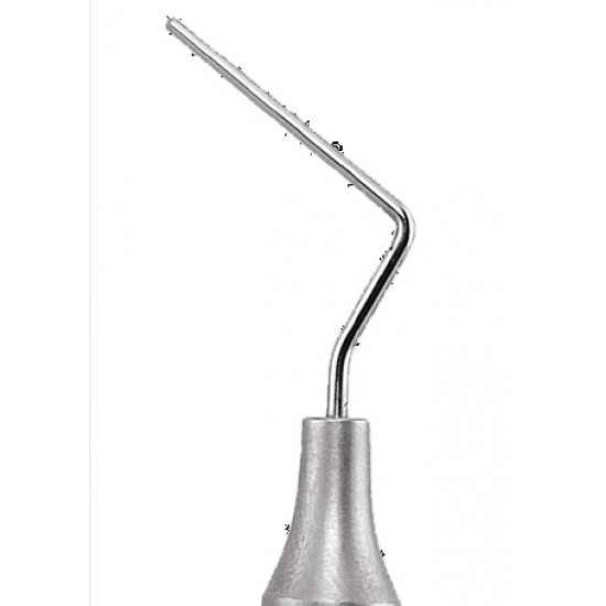 Root Canal Pluggers RCP9 11 Handle No 1 GDC Root Canal Pluggers Rs.294.64