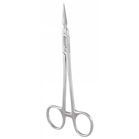 Root Fragment Steiglitz RFSTR Root Fragment Steiglitz RFSTR GDC Root Fragment Steiglitz Rs.1,071.42
