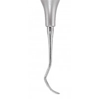 Sickle Scaler Posterior S204S