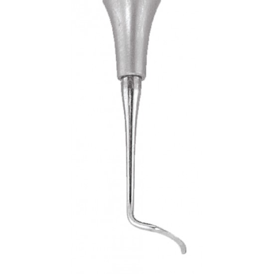 Sickle Scaler Posterior SCNEVI2 Handle No 6 GDC Sickle Scalers Rs.1,339.28