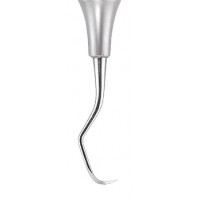 Sickle Scaler Anterior SN137