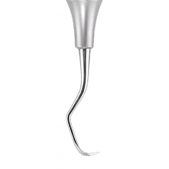 Sickle Scaler Anterior SN137 GDC Sickle Scalers Rs.243.75