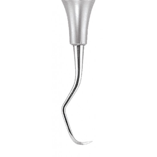 Sickle Scaler Anterior SN137 Handle No 6 GDC Sickle Scalers Rs.1,339.28