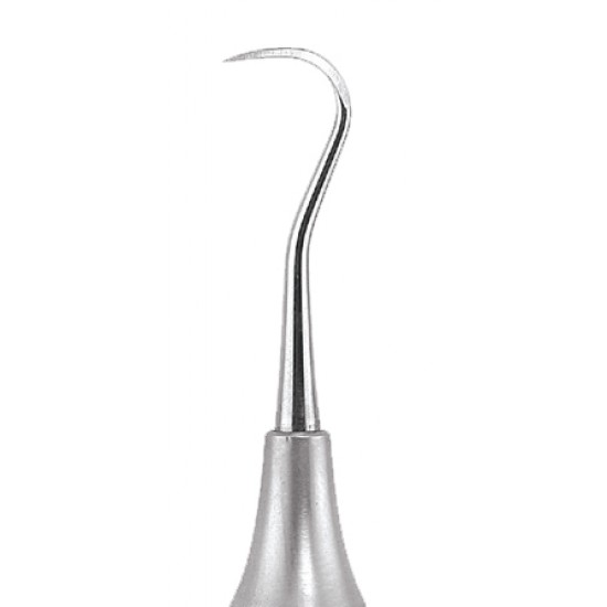 Sickle Scaler Anterior SN137 GDC Sickle Scalers Rs.243.75