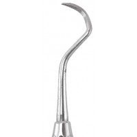 Sickle Scaler Posterior S129