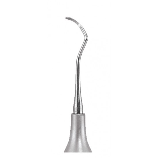 Sickle Scaler Posterior S204S Handle No 6 GDC Sickle Scalers Rs.1,339.28