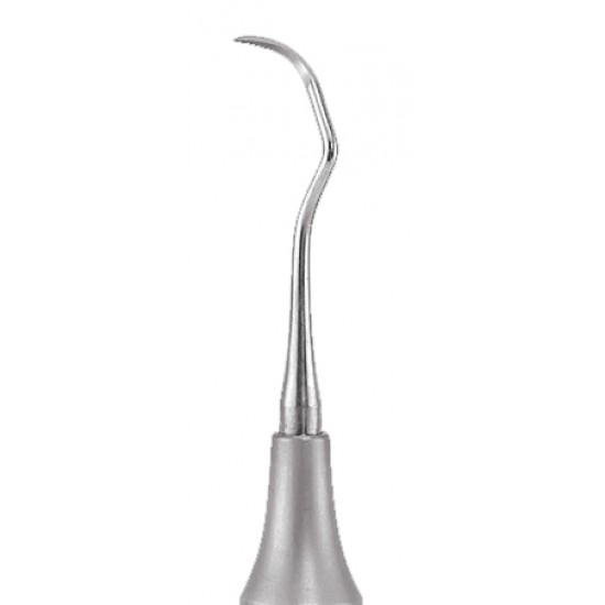 Sickle Scaler SSP2 3 GDC Sickle Scalers Rs.243.75