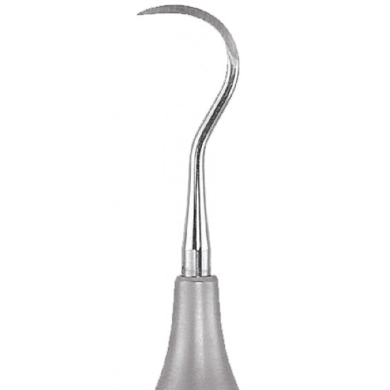 Sickle Scaler SU15 30 Handle No 6 GDC Sickle Scalers Rs.1,339.28