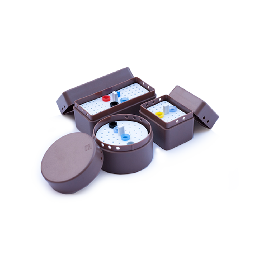 Buy Endo Box Oro Online at Lowest Best Price Guaranteed India