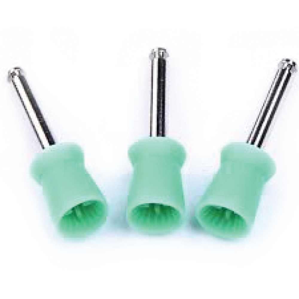 Buy Prophy Polishing Cups Oro Online at Lowest Best Price