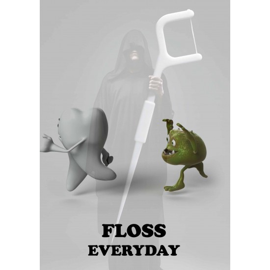 Floss Everyday Poster Plates Zahnsply Dental Poster Plates Rs.178.57