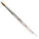 Kolinsky Brushes Kolinsky Brushes Renfert Kolinsky Brushes Rs.5,745.76