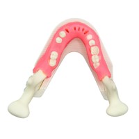 A2Z Extraction Model