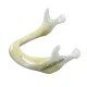 Hy-MAND Ed. Mandible with Styrofoam V-Invent Hands On Models Rs.2,380.00