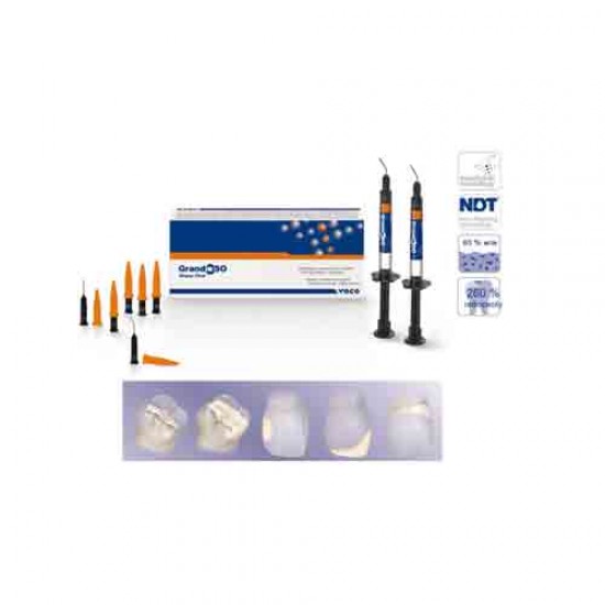 Grandio SO Heavy Flow VOCO Flowable Composites Rs.5,580.36